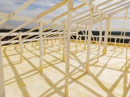 IMG-20220119-WA0008 (1)