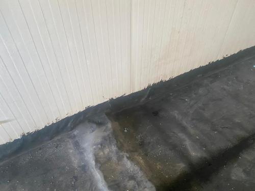 IMG-20230705-WA0020