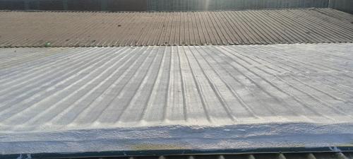 IMG-20240926-WA0040